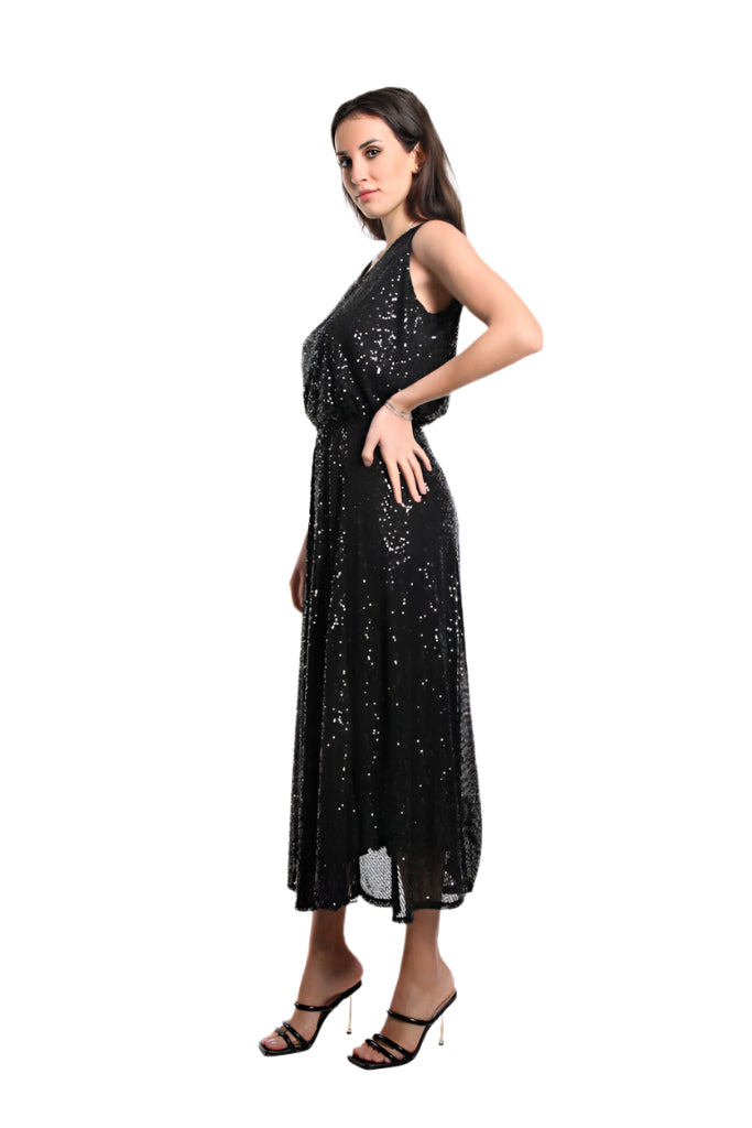 Tina Stephens Rae Sequin Long Flare Skirt SL501