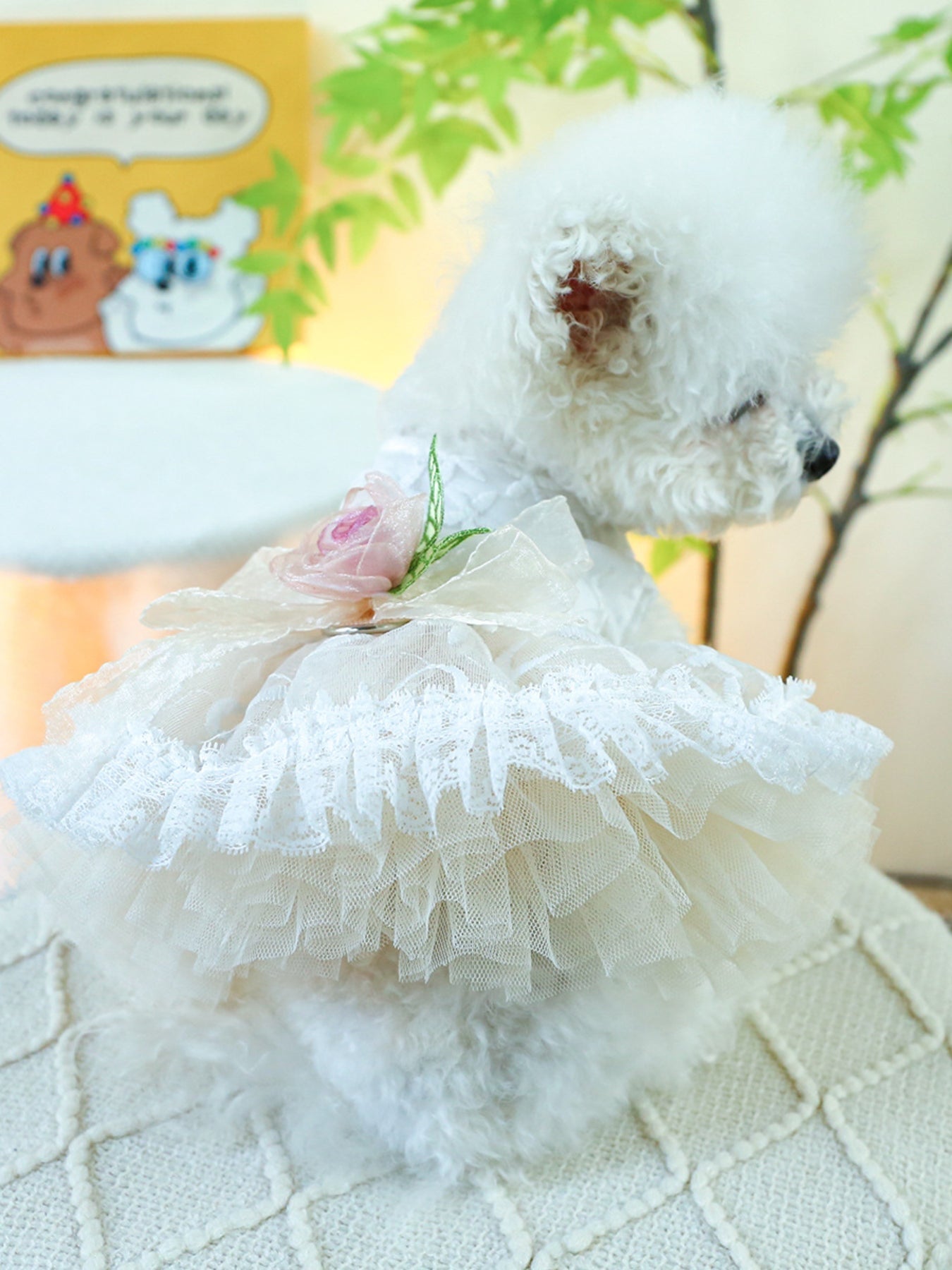 Ruffled Lace Pet Dress