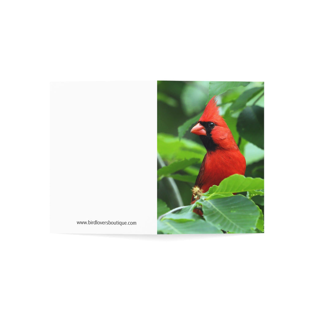 Cardinal - Greeting Cards (1, 10, 30, and 50pcs)