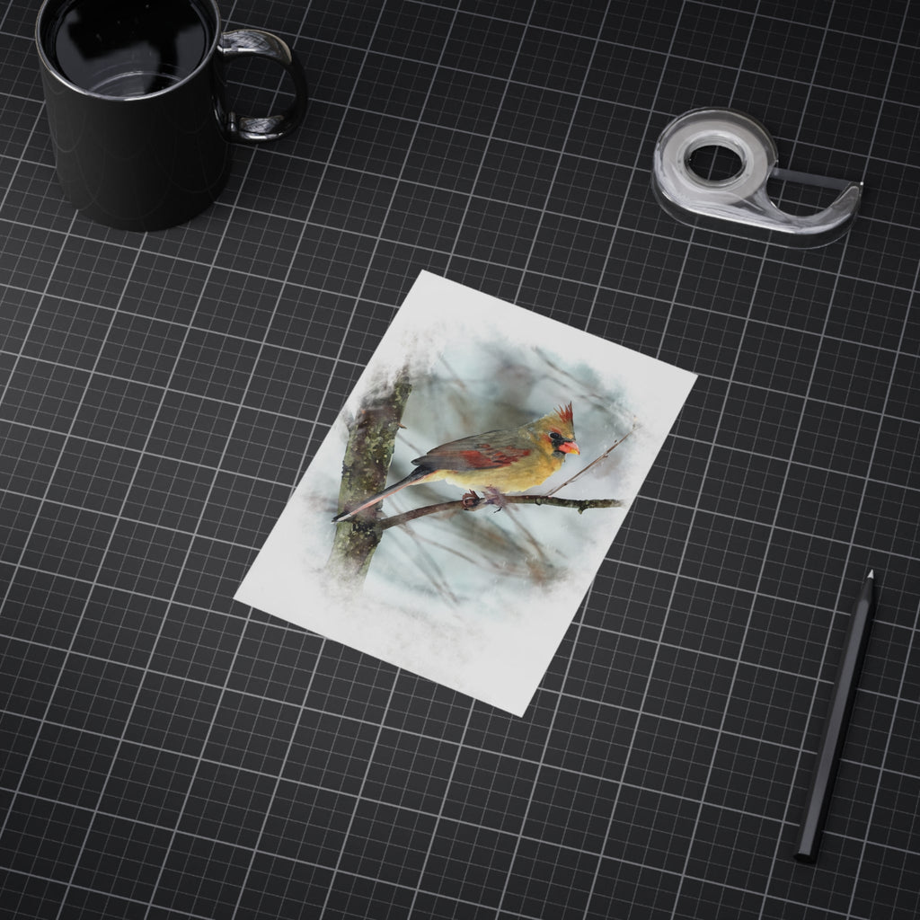 Norther Cardinal Female Painterly - 5x7 Prints