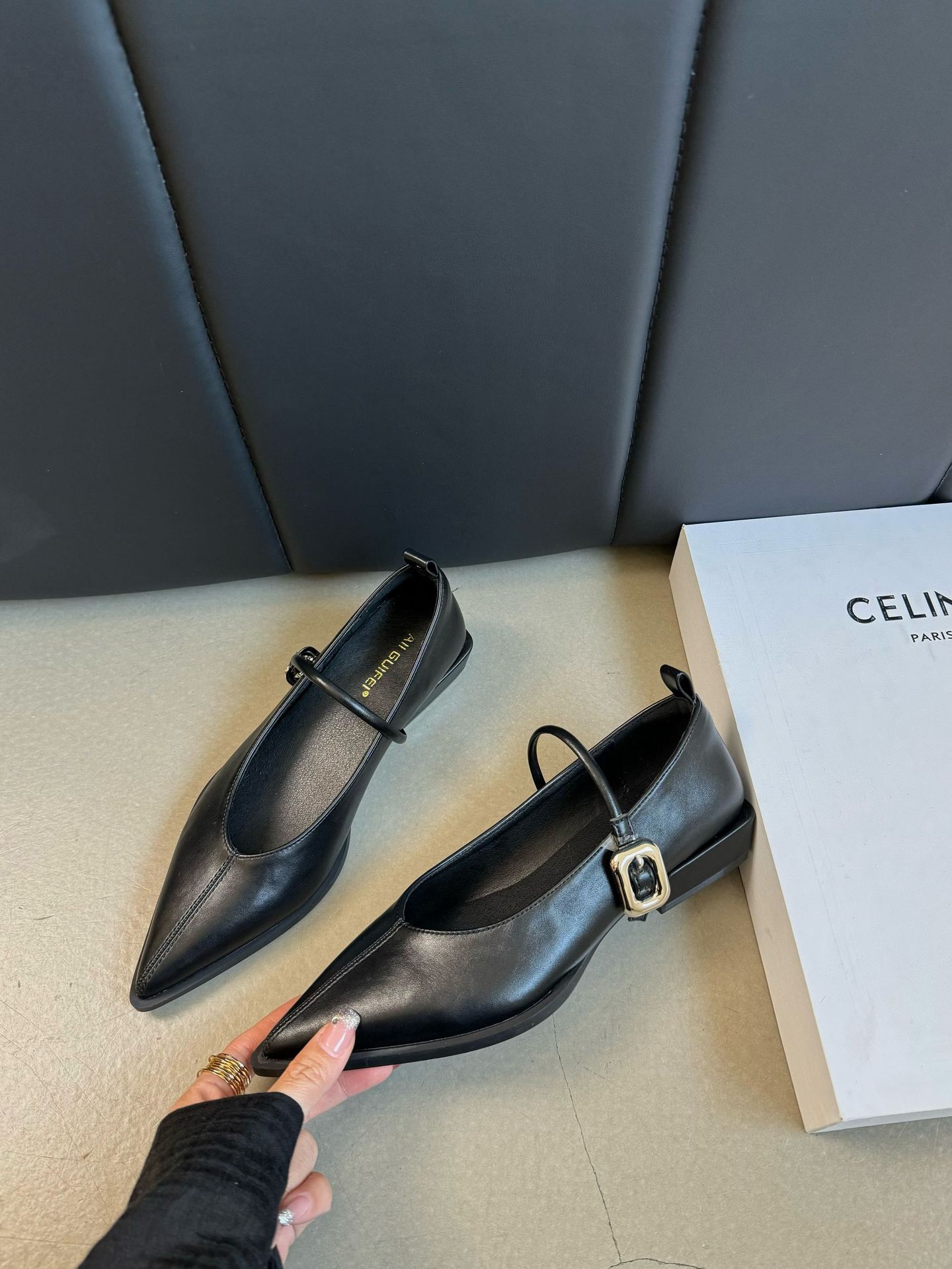 Women's Chunky Heel Mary Jane Shoes - French Retro Pointed Toe Buckle Dress Shoes