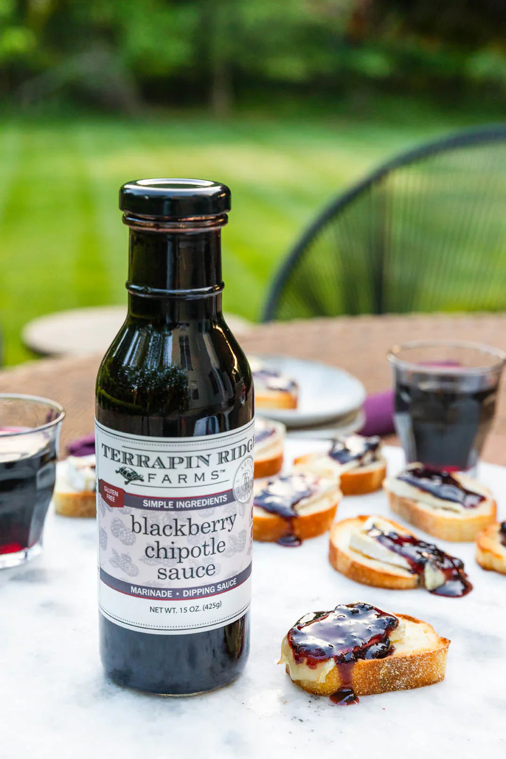 Terrapin Ridge Farms Blackberry Chipolte Sauce