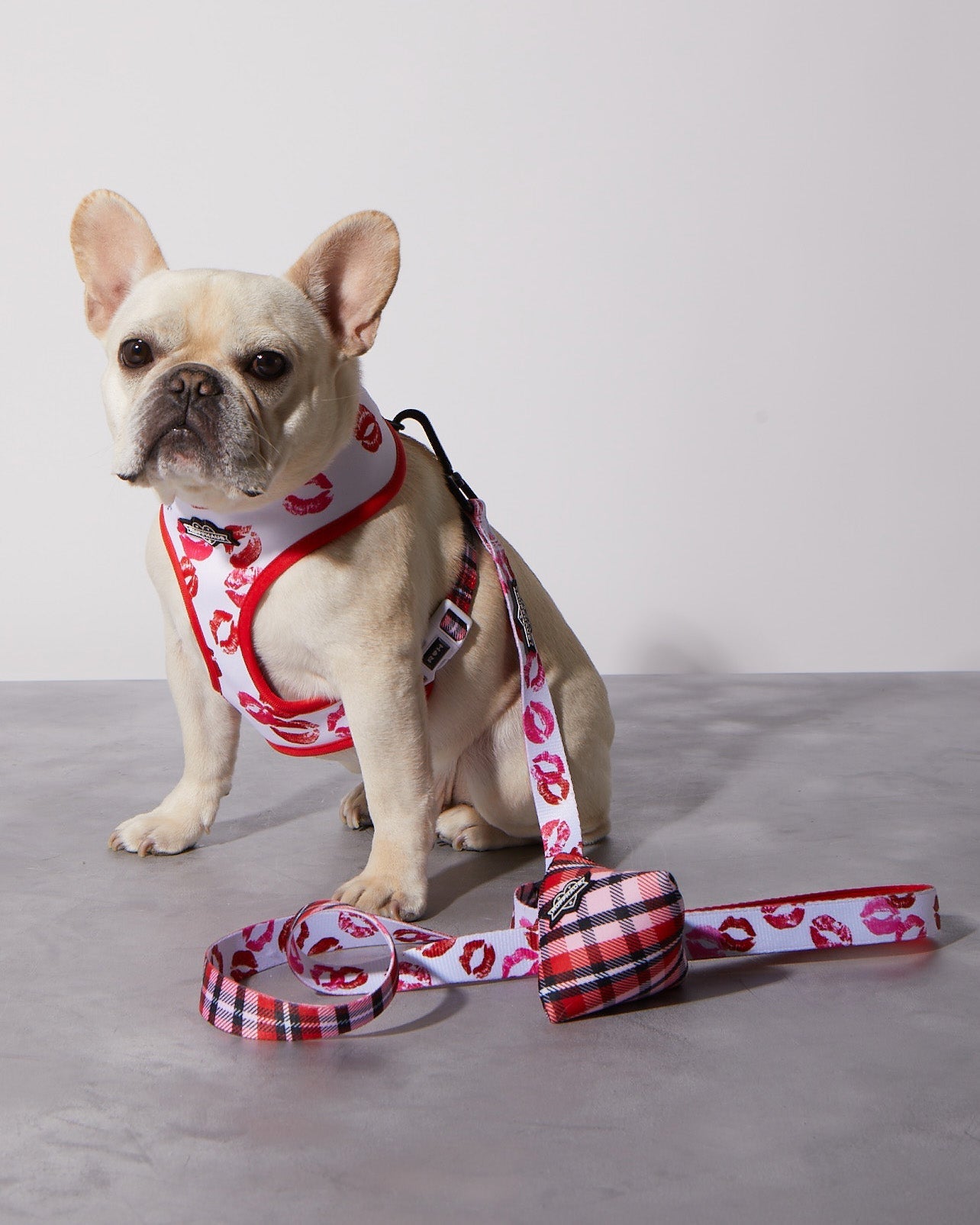 Smooch My Pooch Dog Leash