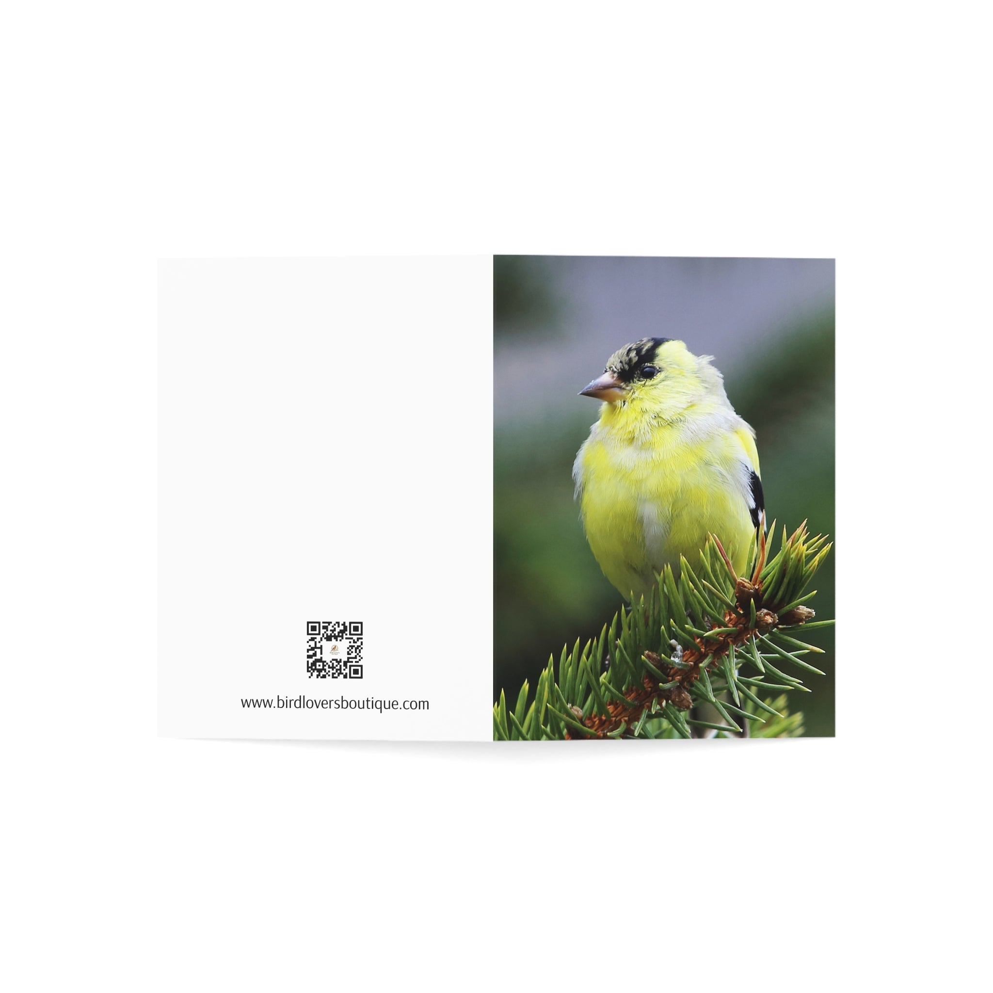 Goldfinch - Greeting Cards (1, 10, 30, and 50pcs)