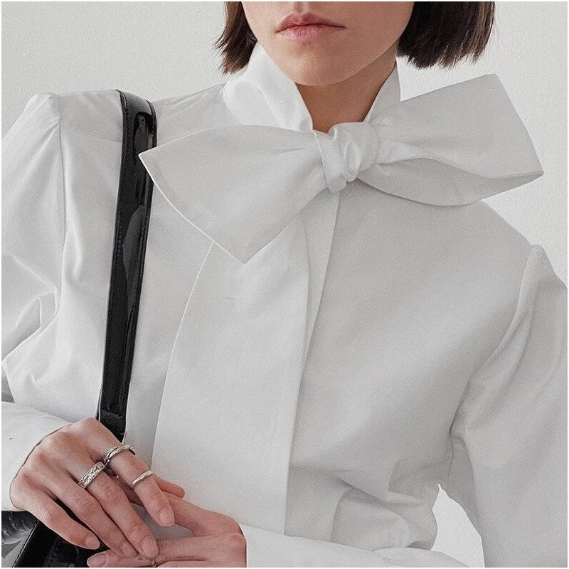 Chic Solid Color Long Sleeve Blouse