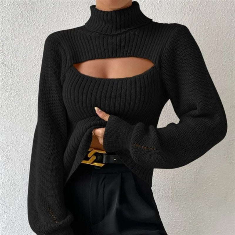 Sexy Hollow Out Solid Color Turtleneck Knit Sweater