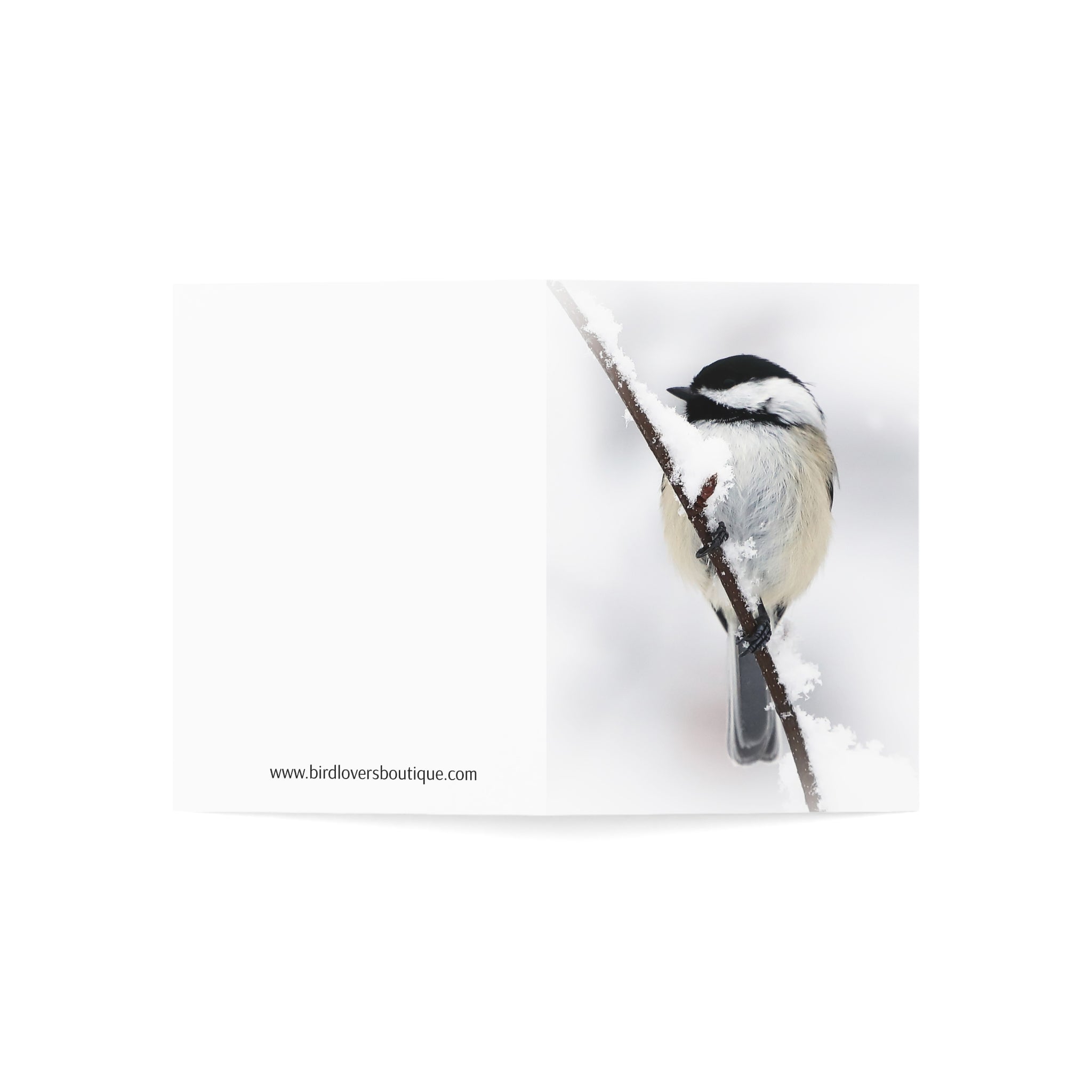 Black-capped Chickadee - Greeting Cards (1, 10, 30, and 50pcs)