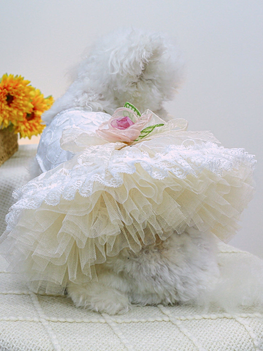 Ruffled Lace Pet Dress