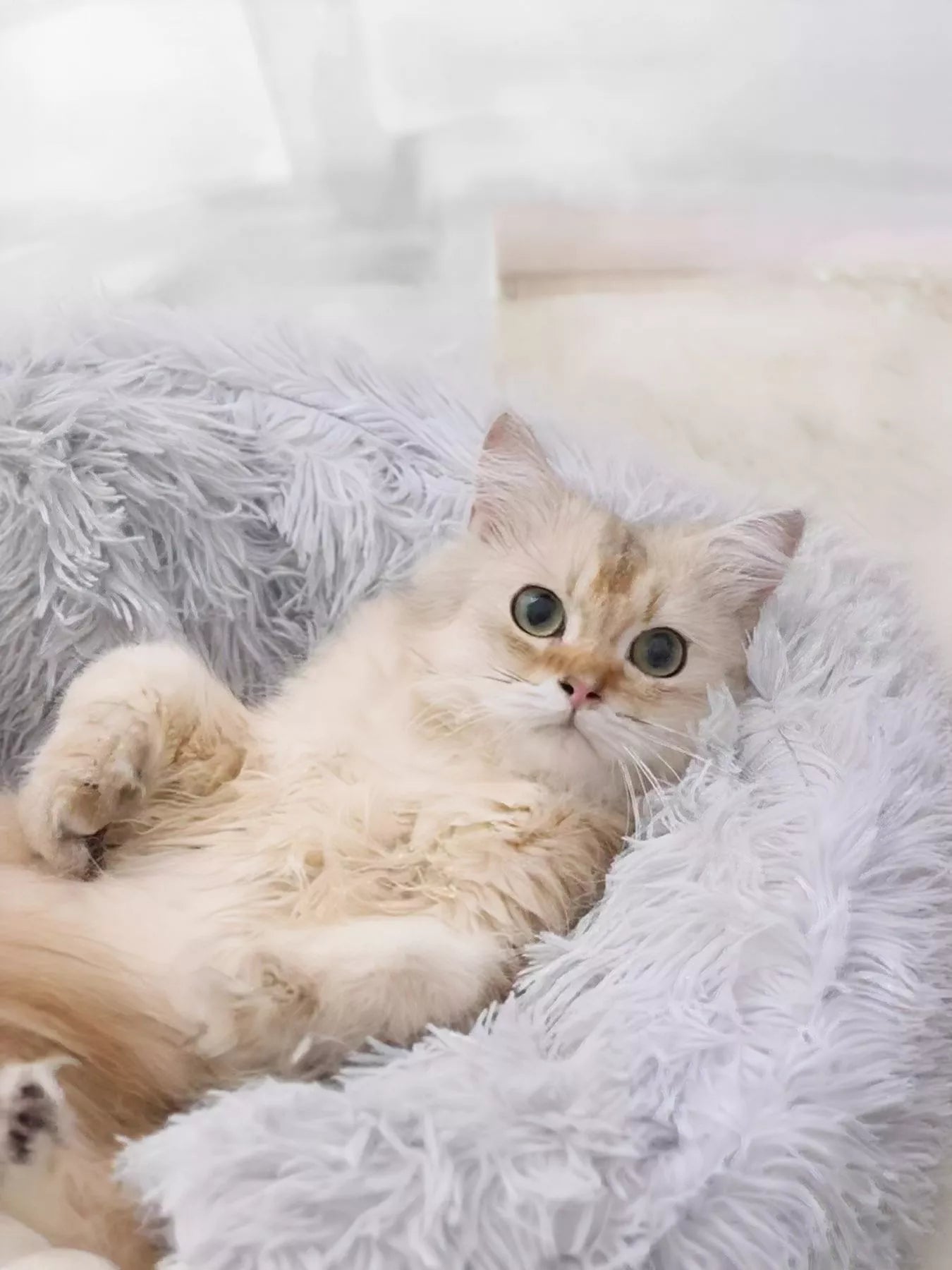 Round Plush Calming Pet Nest