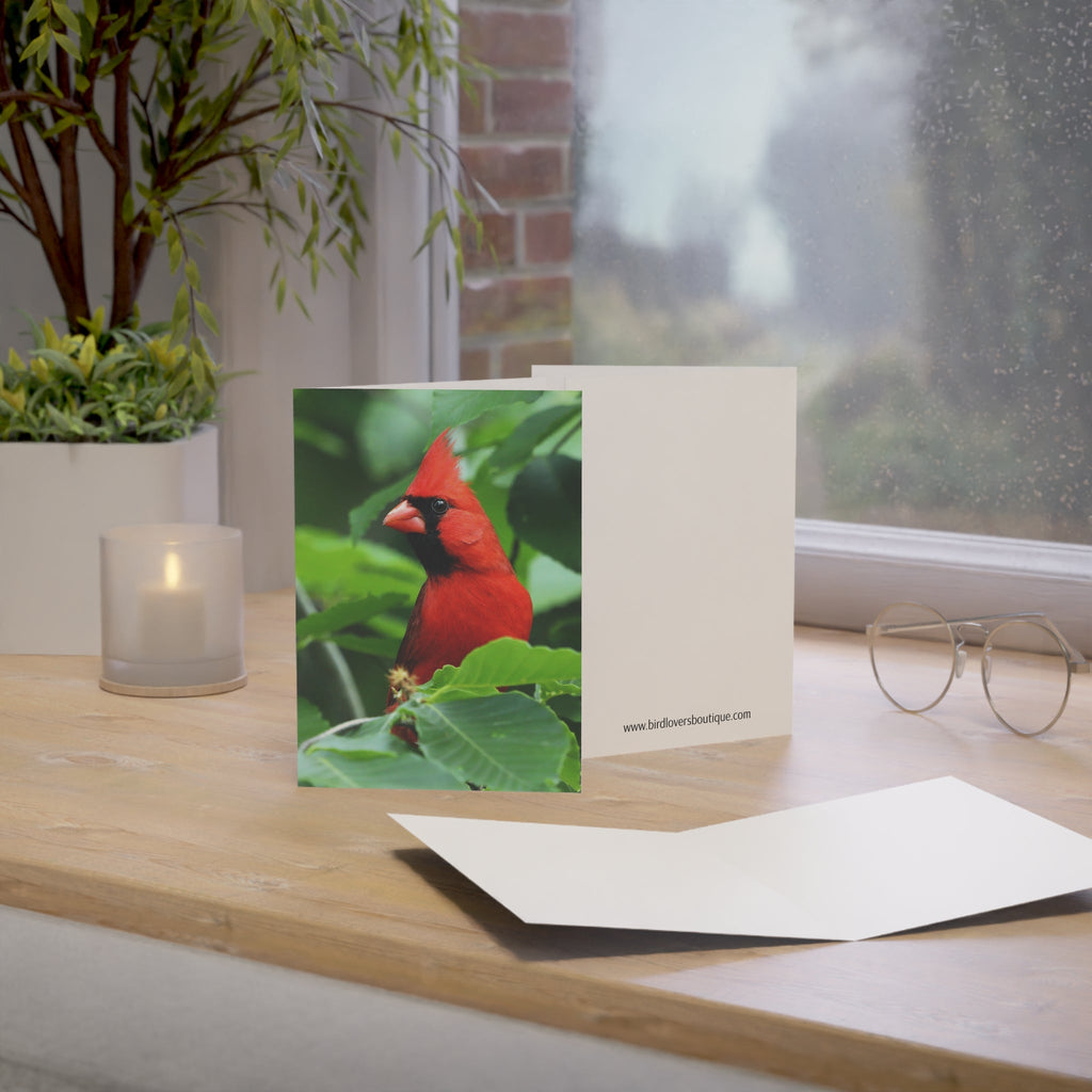 Cardinal - Greeting Cards (1, 10, 30, and 50pcs)