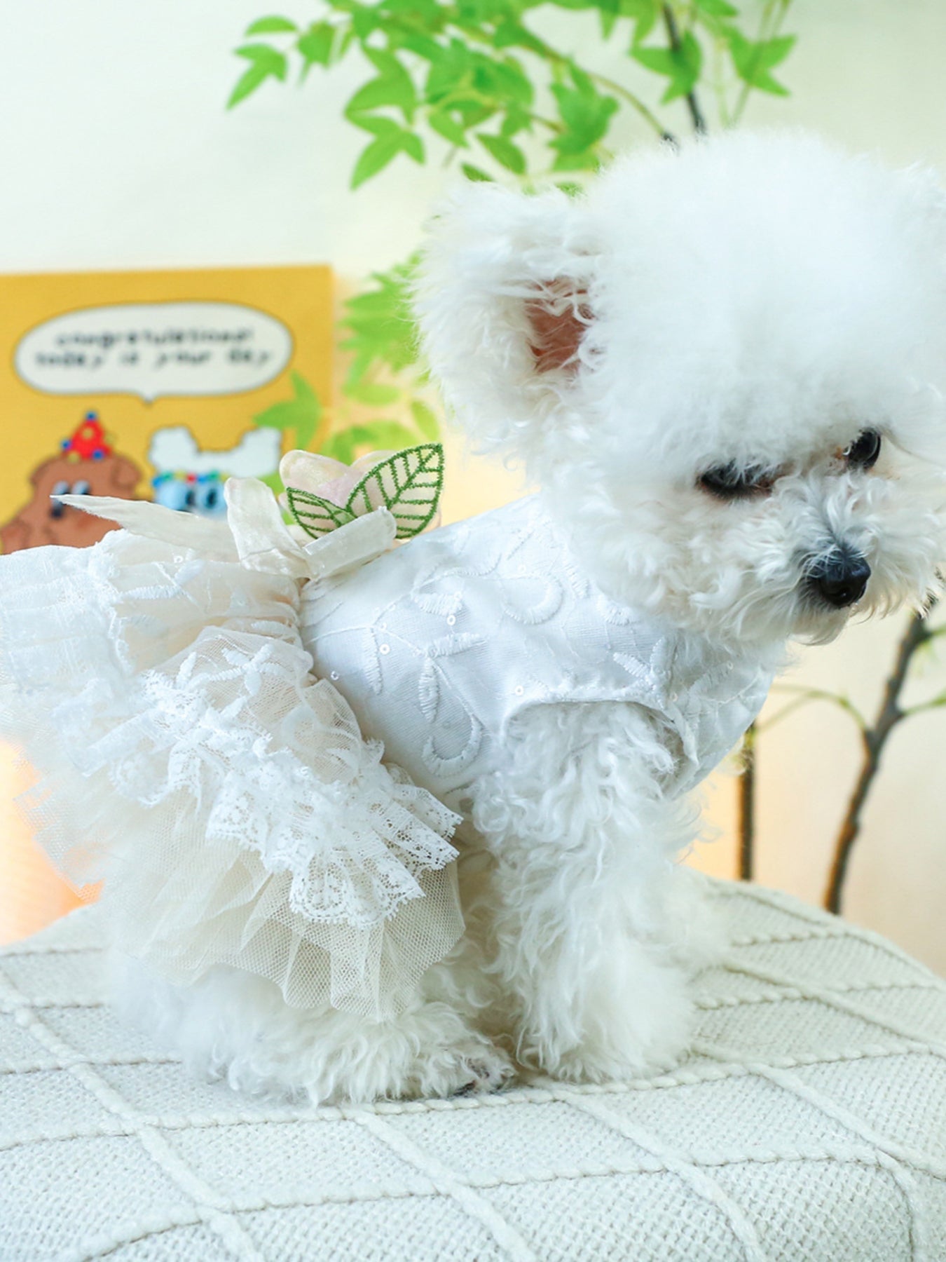 Ruffled Lace Pet Dress