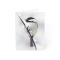 Black-capped Chickadee - Greeting Cards (1, 10, 30, and 50pcs)