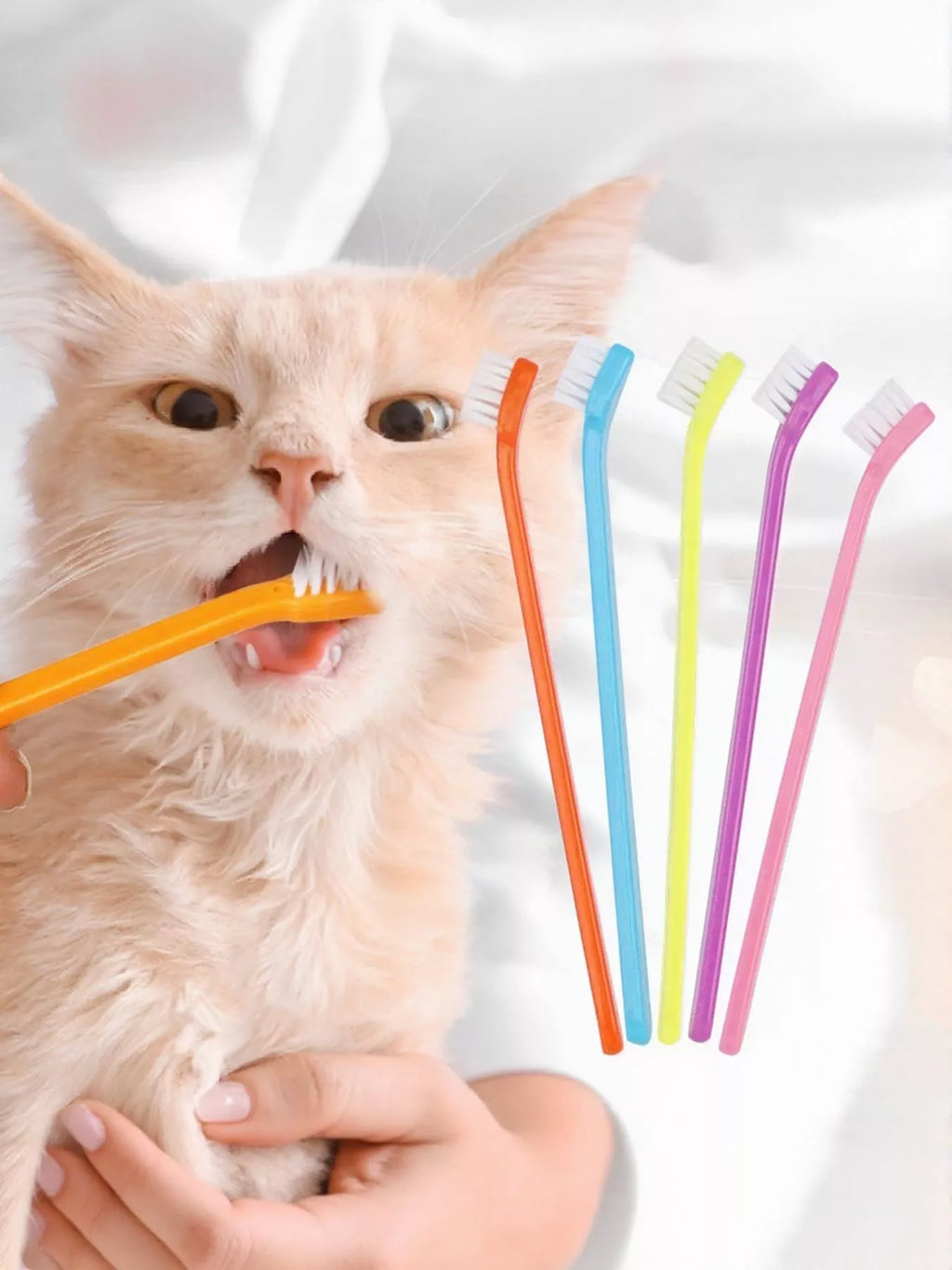 Plastic Pet Toothbrush