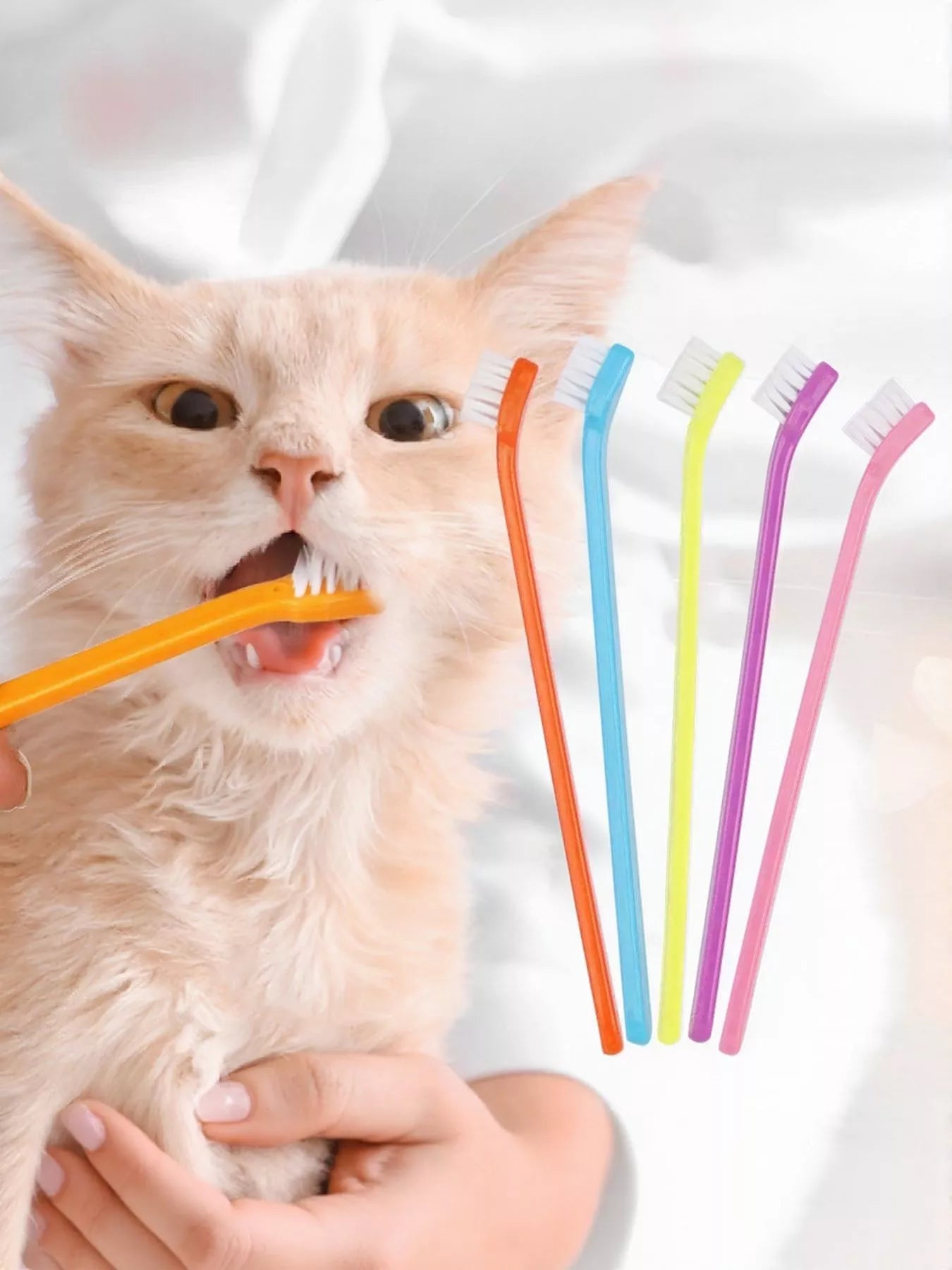 Plastic Pet Toothbrush