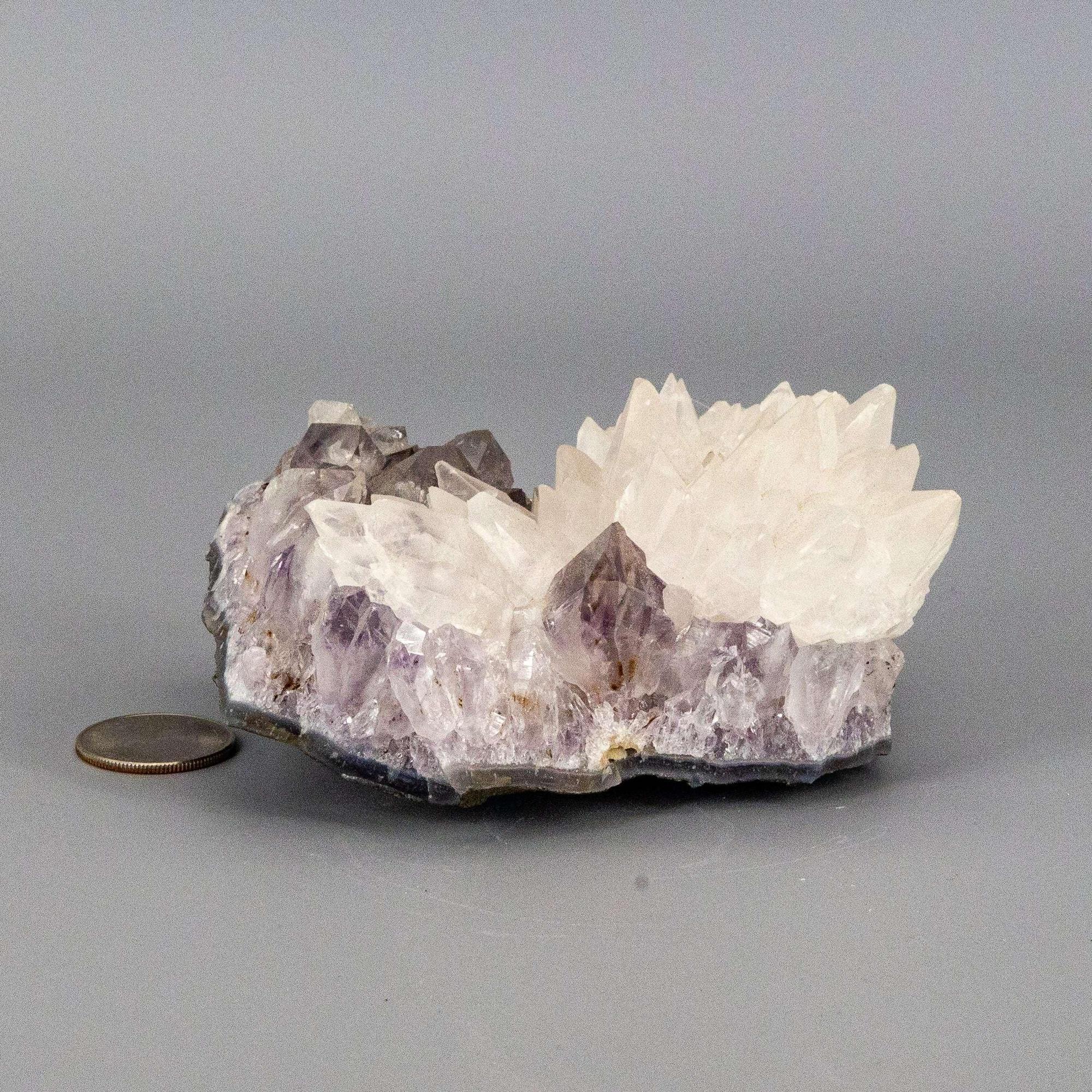 Amethyst Crystal Cluster Dogtooth Calcite Flower Specimen