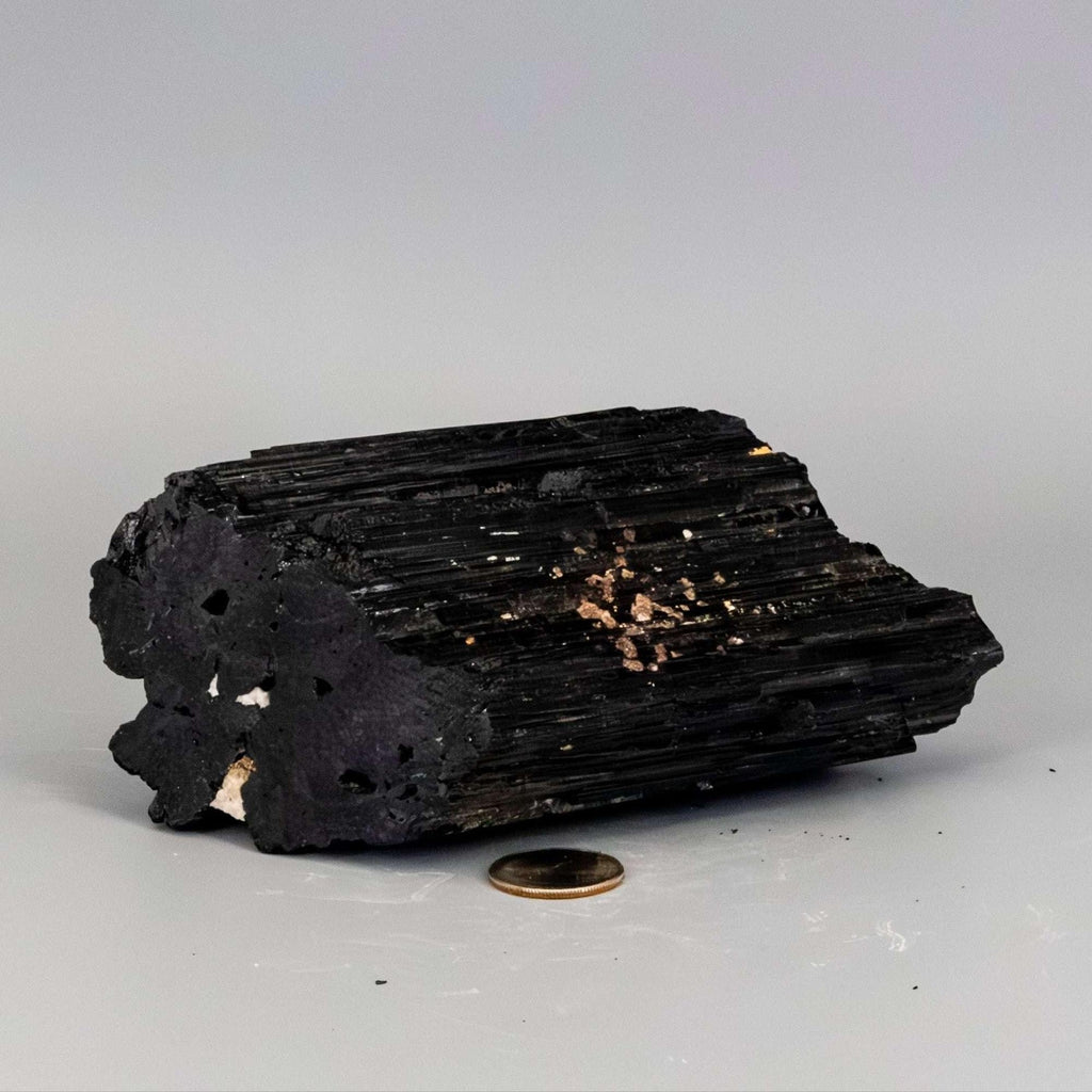 Black Tourmaline Crystal Raw Hunk with Quartz Veins