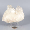 Clear Quartz Crystal Point Cluster Raw Natural Stone
