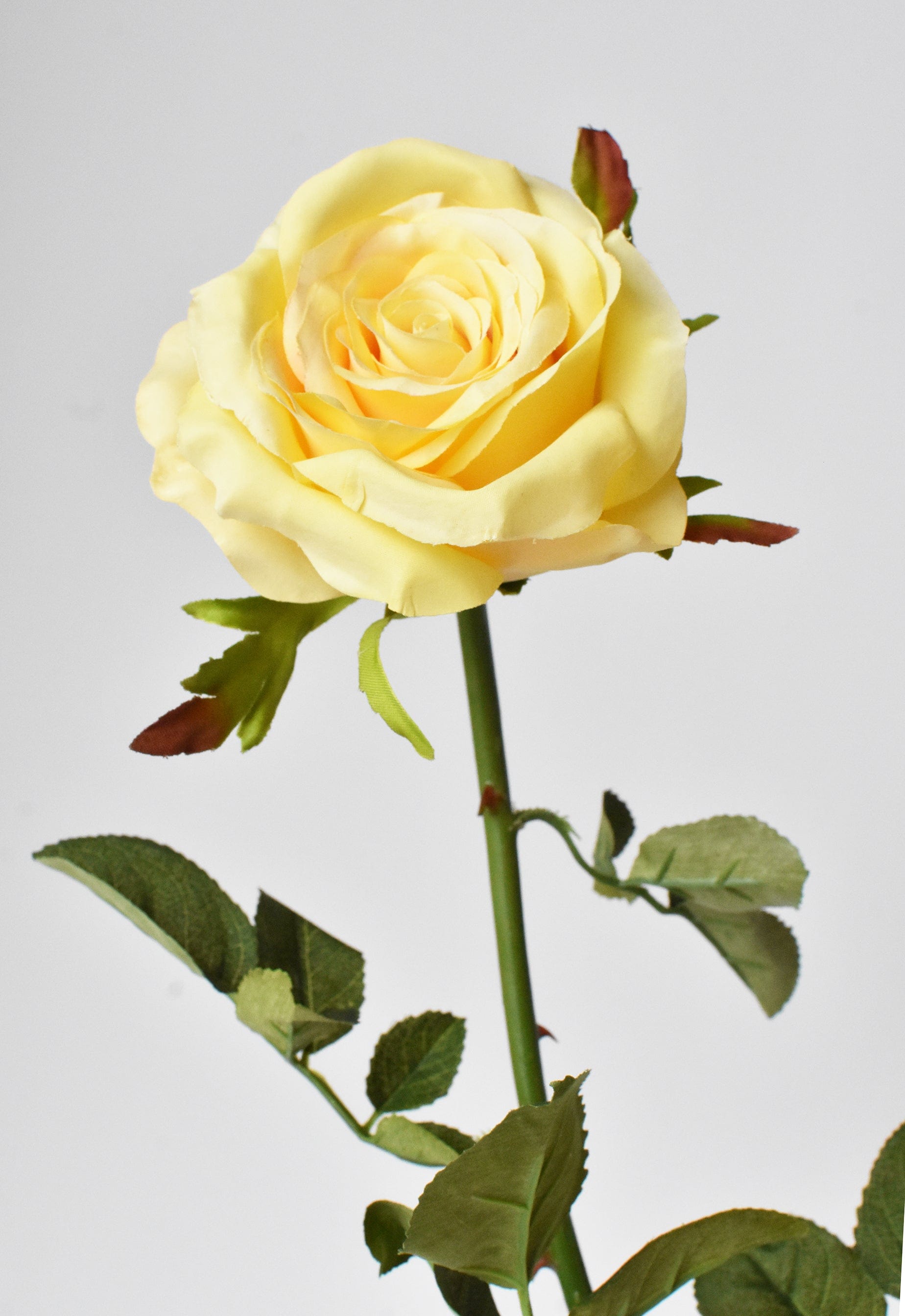 27" Faux Yellow Open Garden Rose Stem