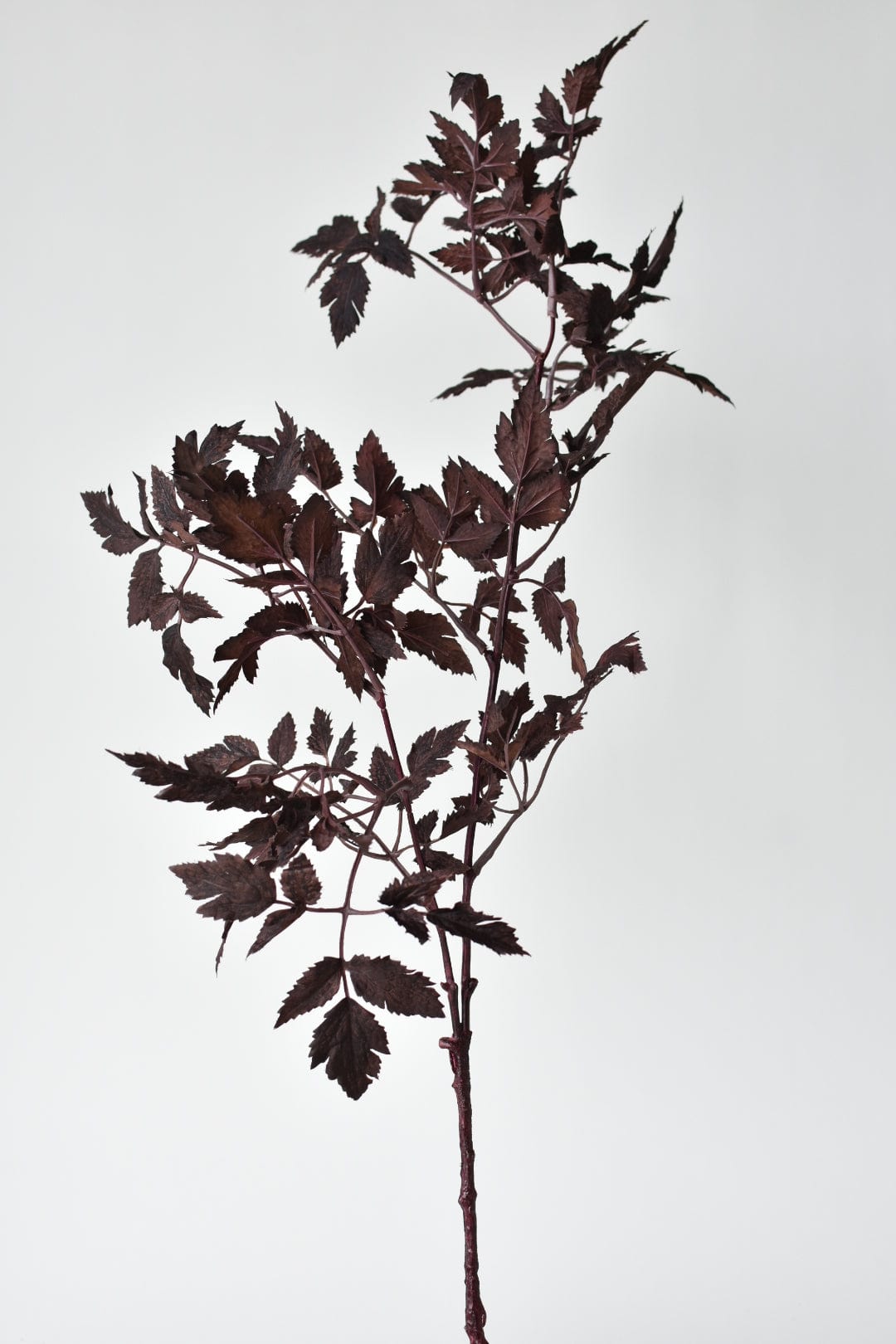 31" Faux Cimicifunga Ramosa Stem: Plum