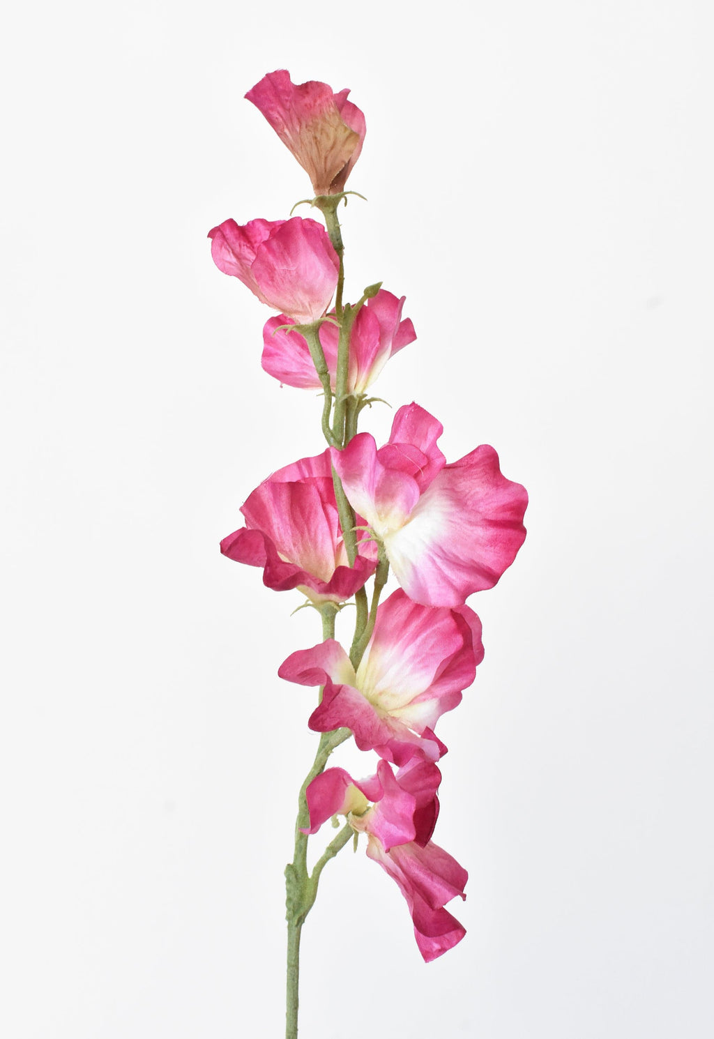 22" Faux Fuchsia Sweet Pea Stem