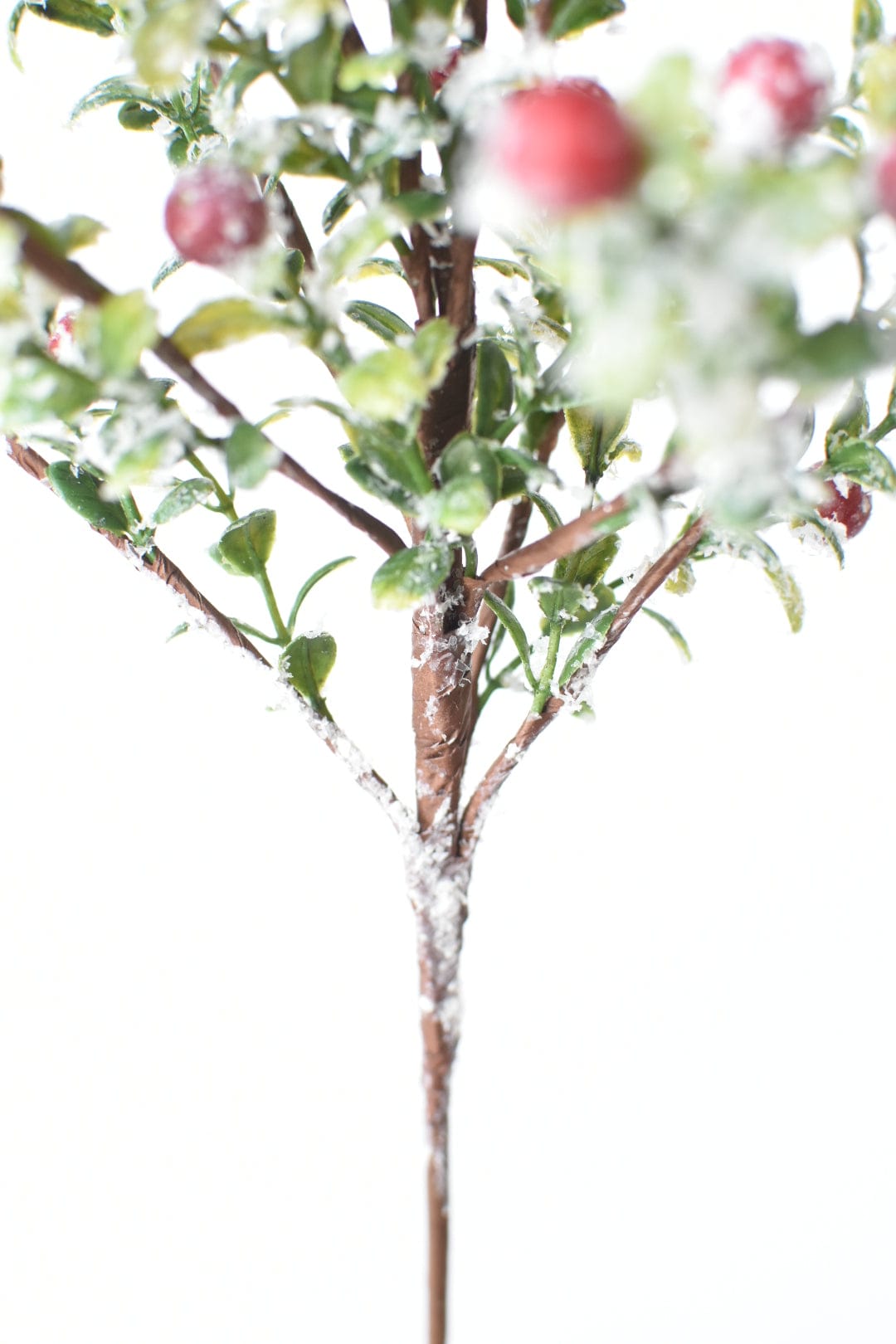 21" Faux Frosted Greenery with Red Berry Stem