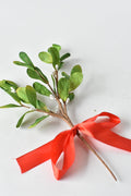10.5" Faux Mistletoe with Ribbon