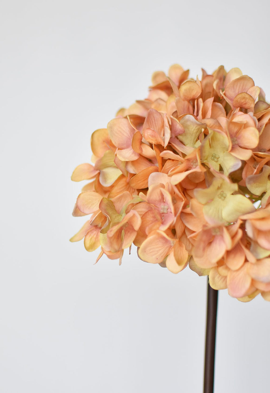 27" Faux Hydrangea Terracotta Orange Stem