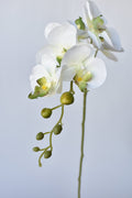 33" Faux White Phalaenopsis Orchid Stem