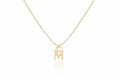 Personalized Interlocking Initials Necklace - Custom 14K Gold Double Letters