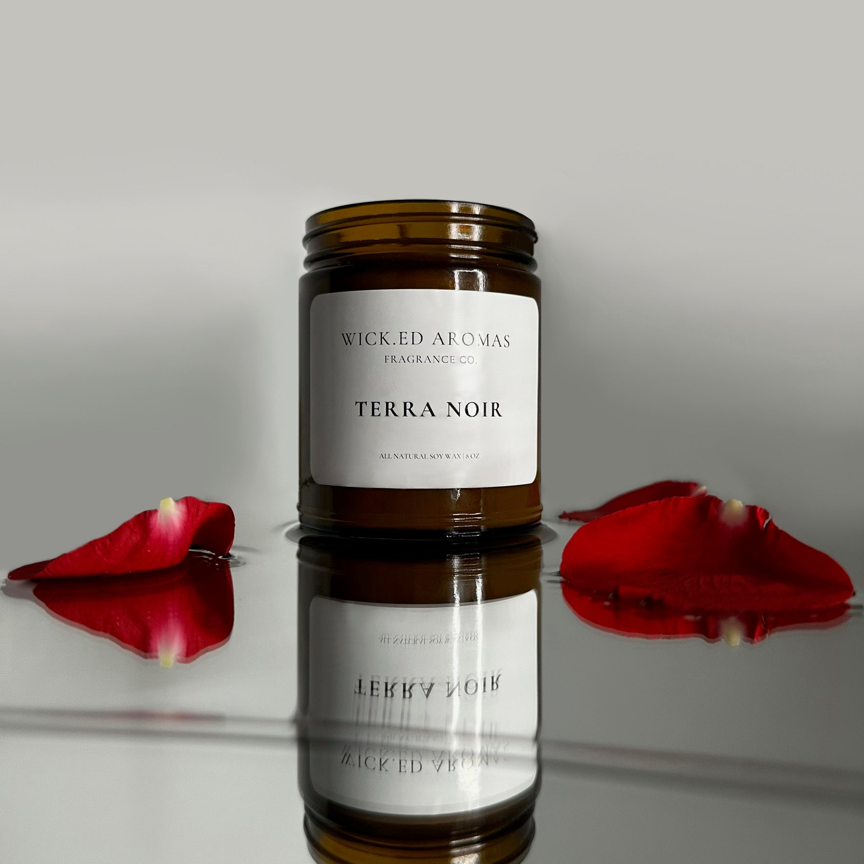 Terra Noir