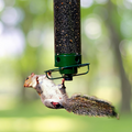 Squirrel Proof Bird Feeder Hanging Metal Wild Bird Seed Feeder 35cm