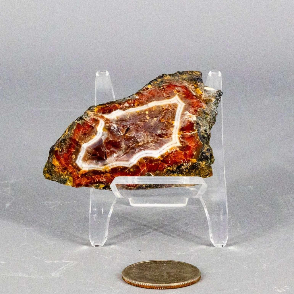 Moroccan Agate Crystal Geode Slice Polished Display