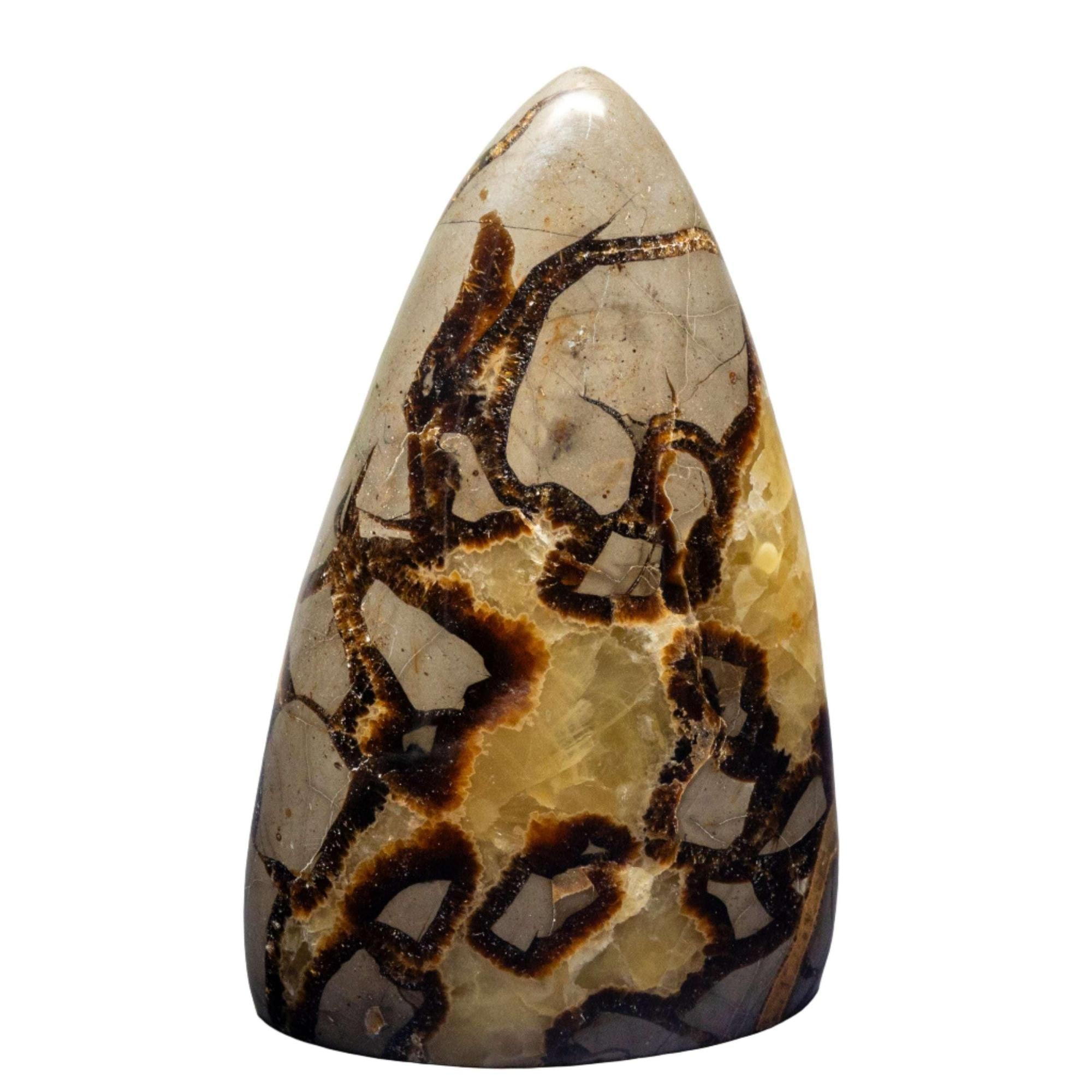 Septarian Stone Crystal Freeform Natural Polished Specimen