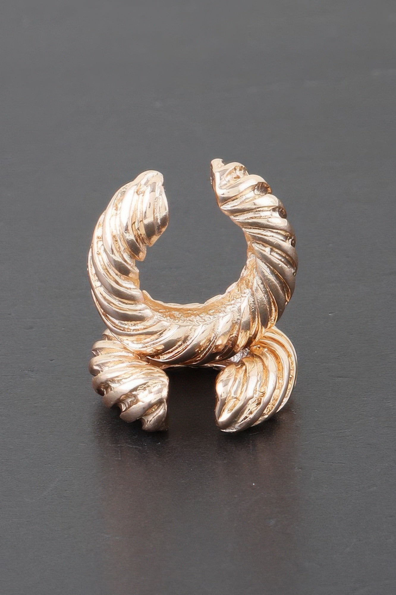 Twisted Rope Hoop Earrings