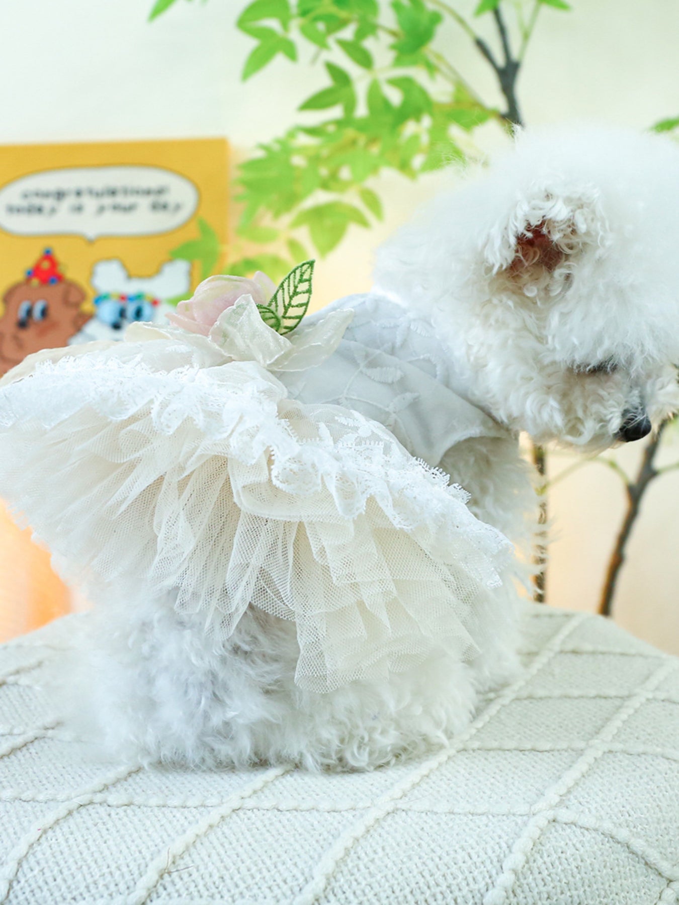 Ruffled Lace Pet Dress