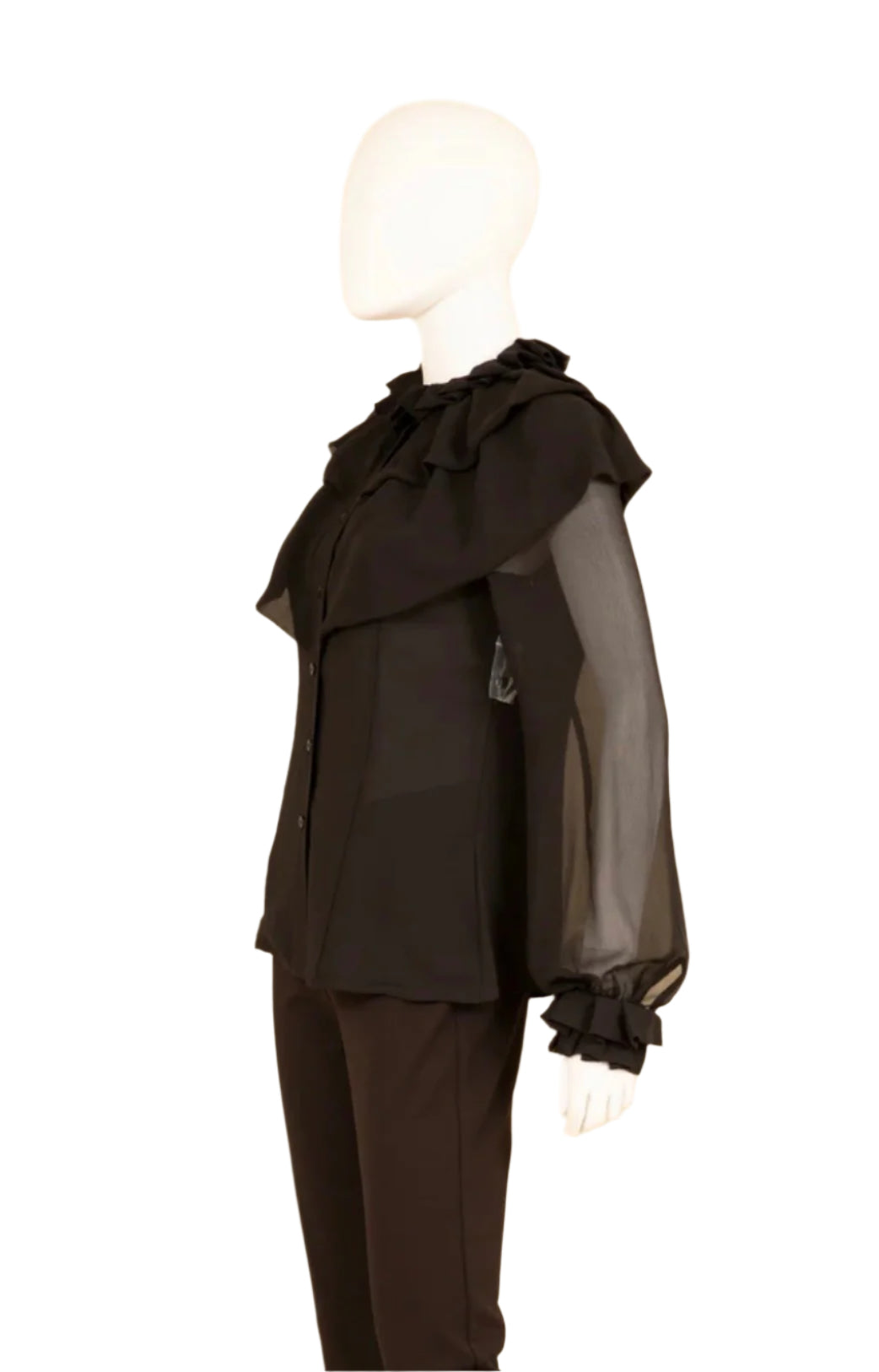 Samuel Dong Georgette Blouse S24053