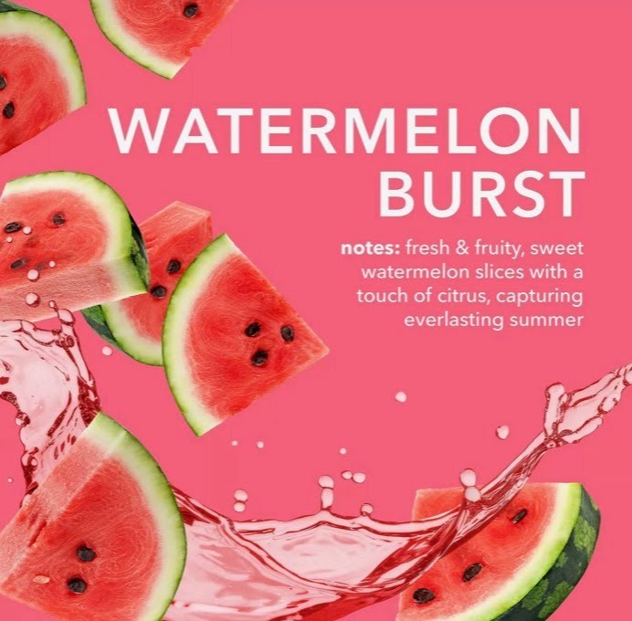 Dionis Watermelon Burst Goat Milk Lip Balm
