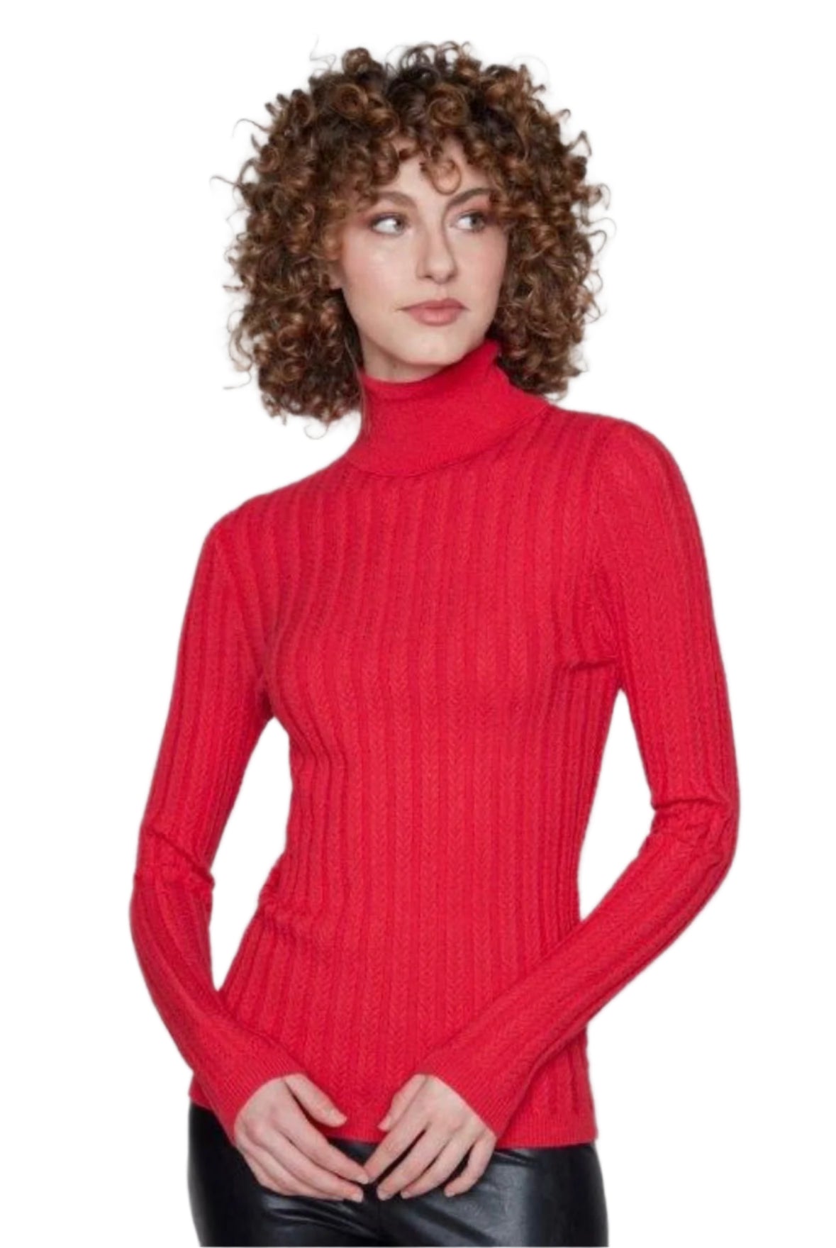 Carré Noir Red Ribbed Turtleneck 7506