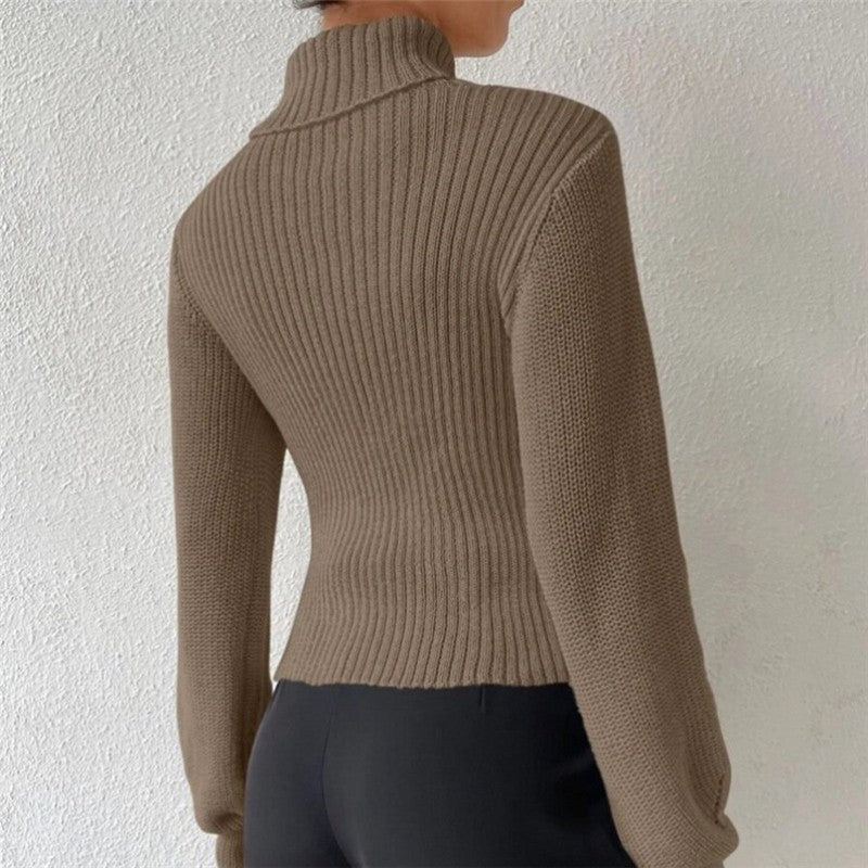 Sexy Hollow Out Solid Color Turtleneck Knit Sweater
