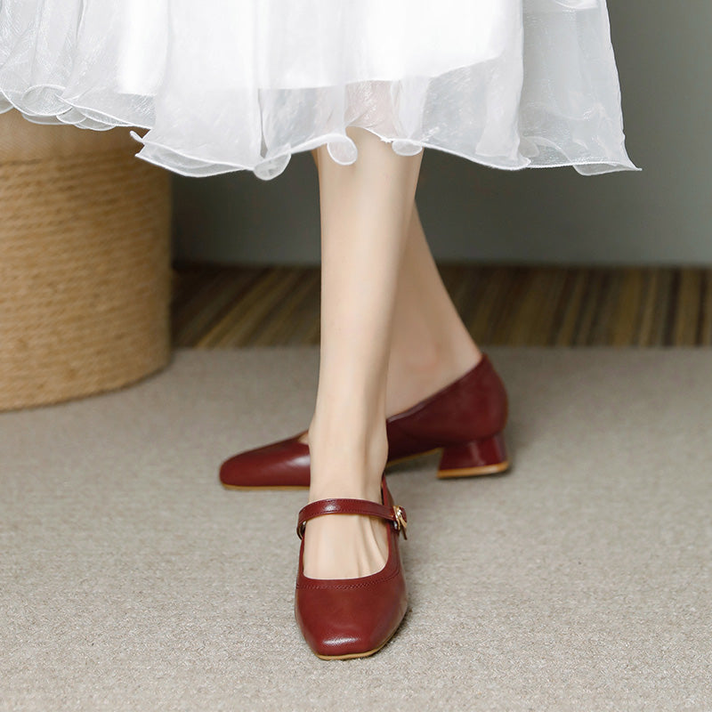 Mary Jane Chunky Heel Retro Buckle Strap Women's Shoes – Plus Size | Burgundy Black Apricot