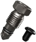 Magura Gustav Pro Brake Caliper Bleeder Valve - Includes Luer Plug