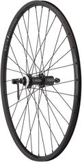 Quality Wheels Value Double Wall Series Rim+Disc Rear Wheel - 26" QR  x 135mm Center-Lock/Rim Brake HG10 BLK Clincher 32H