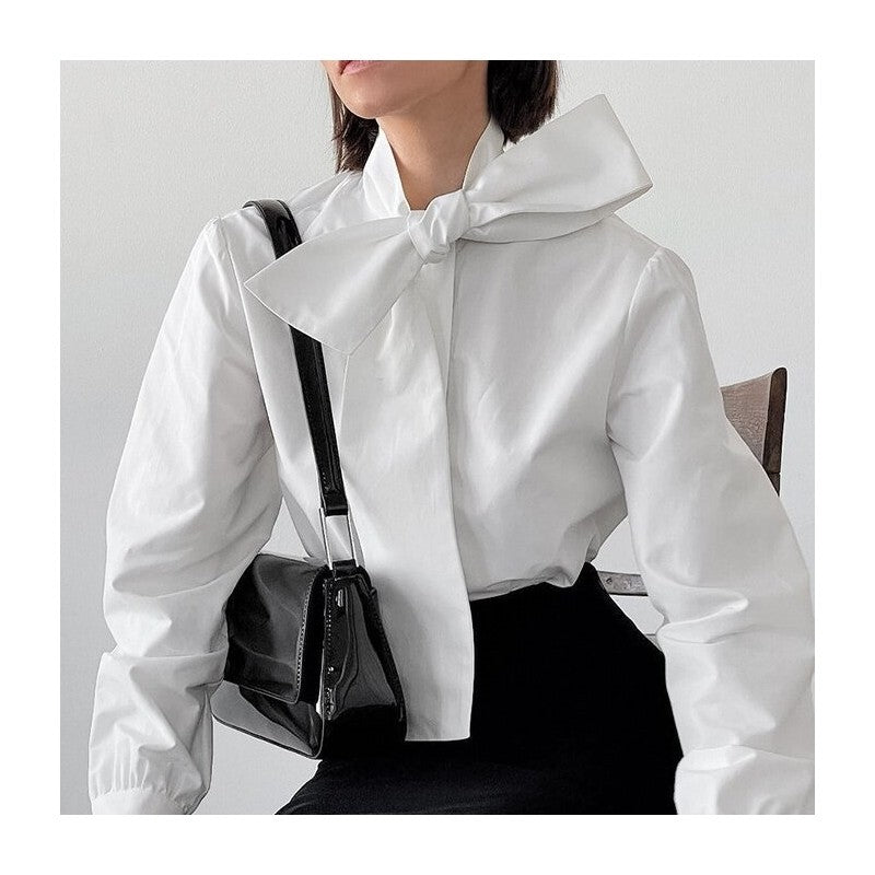 Chic Solid Color Long Sleeve Blouse