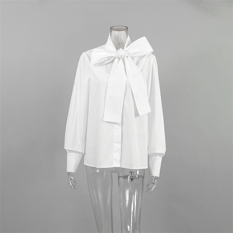 Chic Solid Color Long Sleeve Blouse