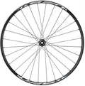 Quality Wheels Shimano Tiagra/Weinmann U28 Front Wheel - 700c 12 x 100mm Center-Lock BLK 32H