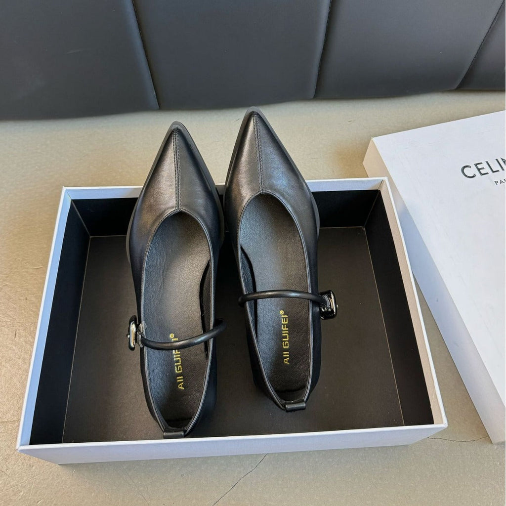 Women's Chunky Heel Mary Jane Shoes - French Retro Pointed Toe Buckle Dress Shoes