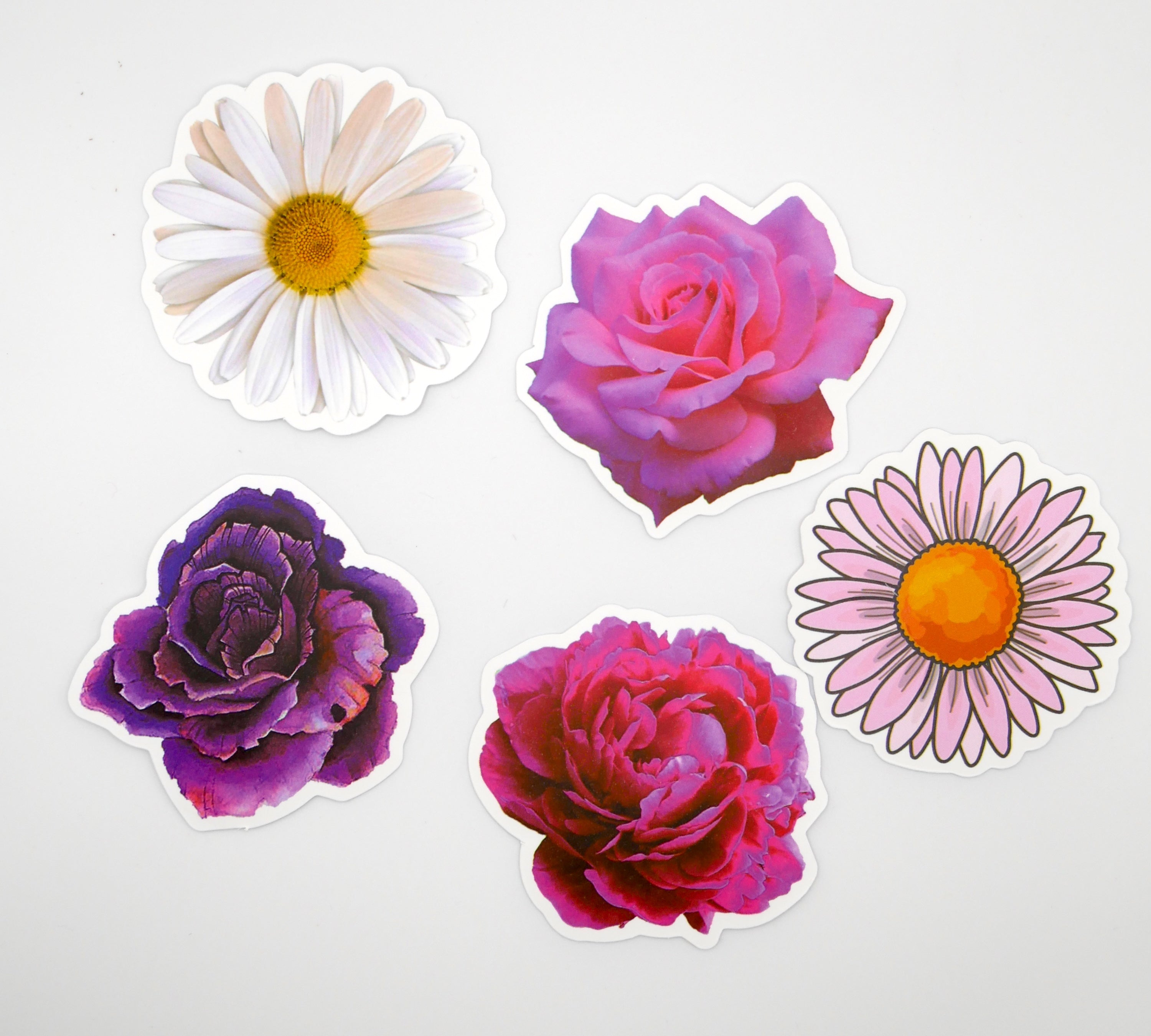 Floral, Cactus, Plant, & Mushroom Sticker Packs (Set of 10)