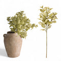 Green Perilla Leaf Spray