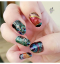 Pretty Peacock