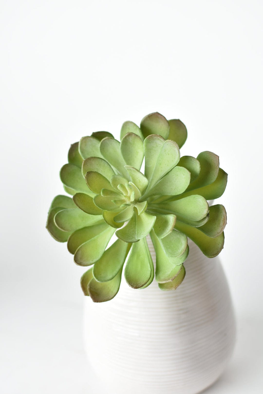 6" Faux Soft Aeonium Succulent Pick